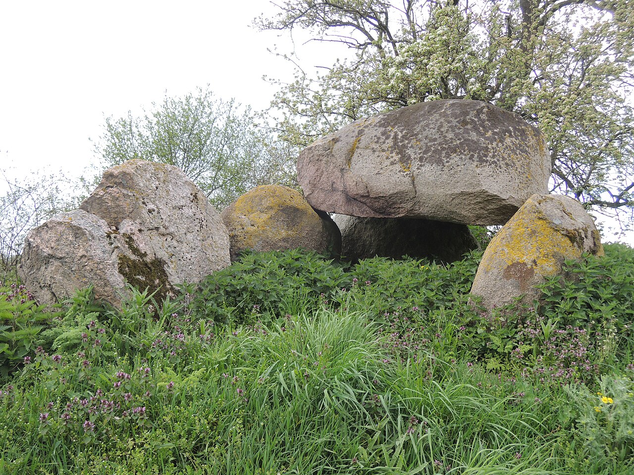 The megalithic tomb Wilsen 2