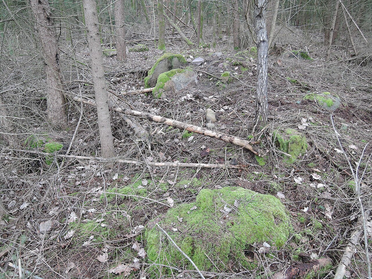 The megalithic tomb of Winterweyhe