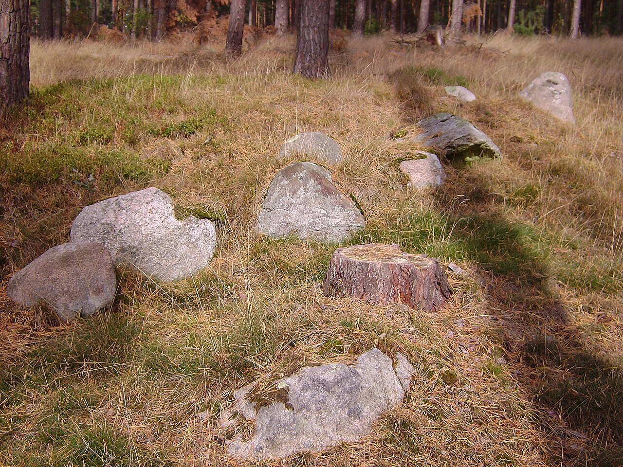 Megalithic tomb Wittfeitzen