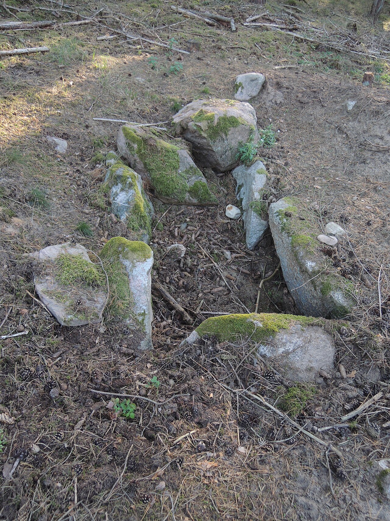 The megalithic tomb "Wollschow 23" near Wollschow, Brüssow, Brandenburg