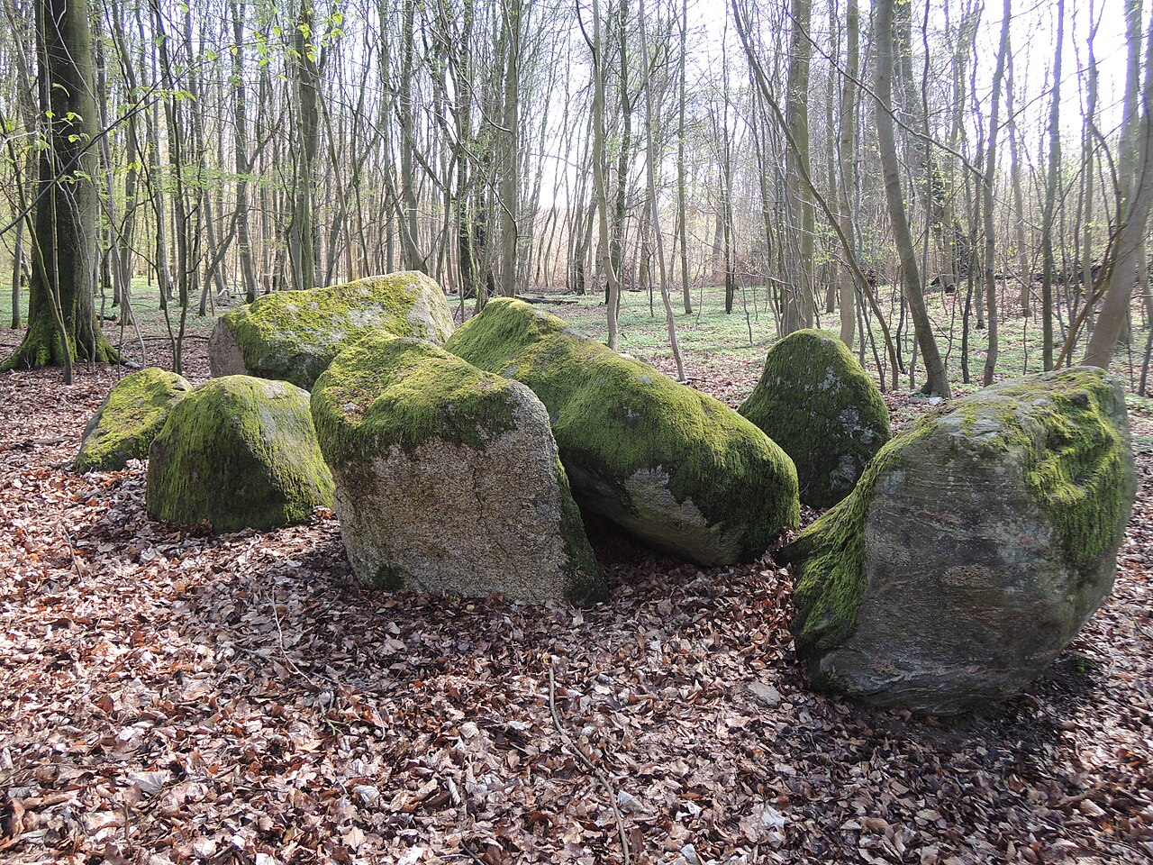 The megalithic tomb Zernin 1, a dolmen, Sprockhoff-No