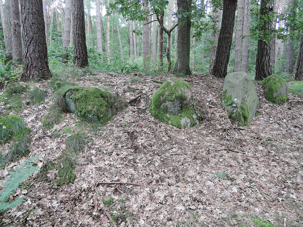 The megalithic tomb Zislow 1