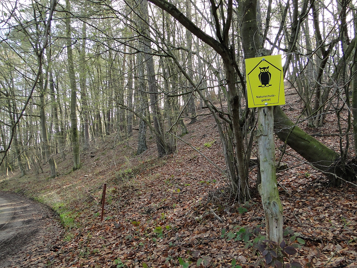 Naturschutzgebiet Gruber Forst südlich Teterow, Mecklenburg-Vorpommern