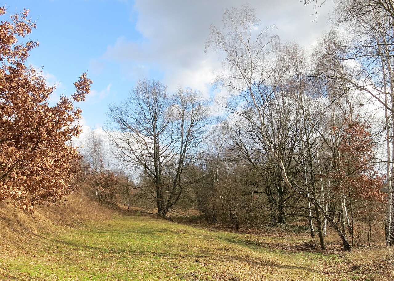 Landschaft am Grünauer Kreuz