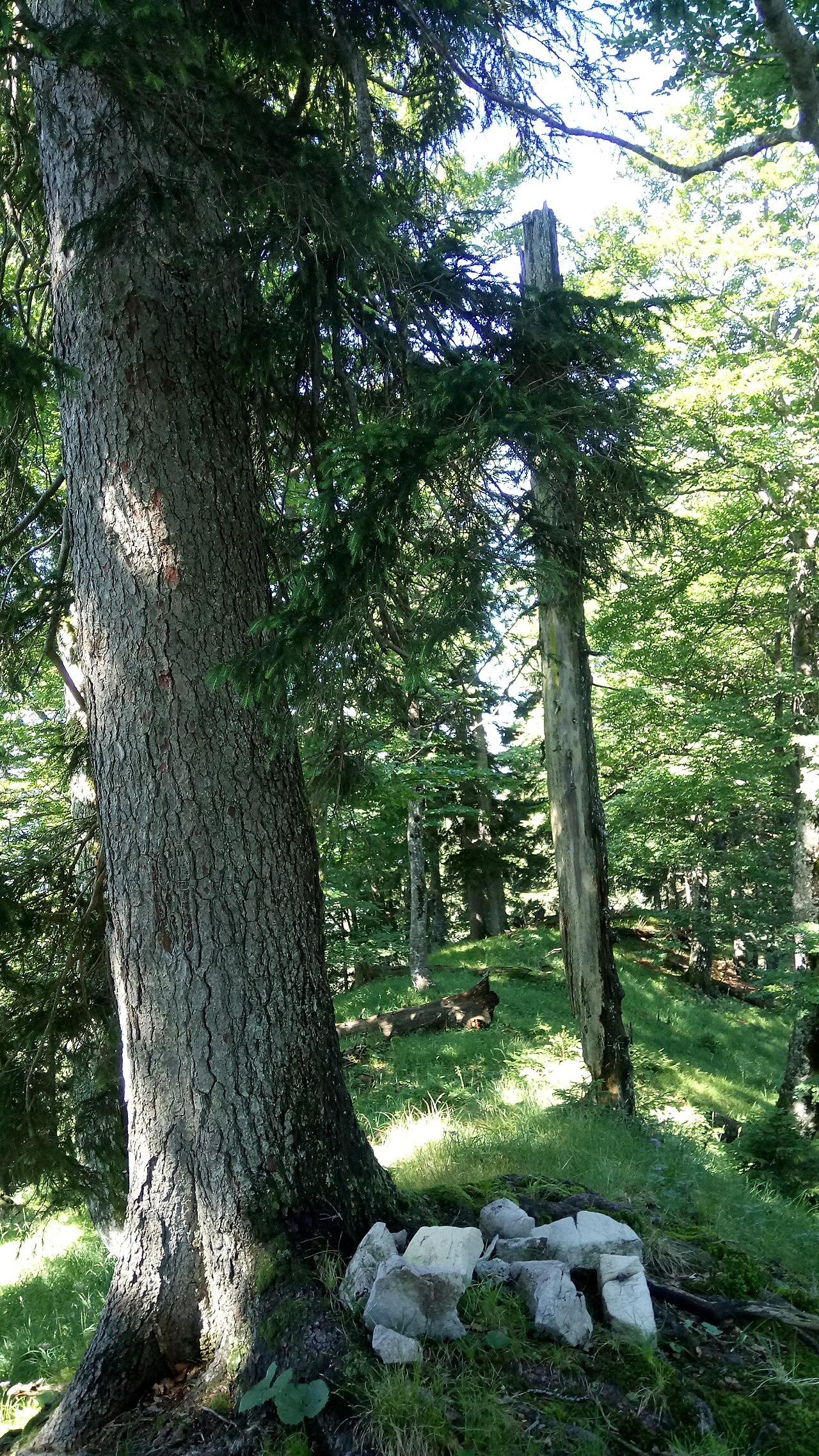 Grüneck (Tegernseer Berge), Bavaria
