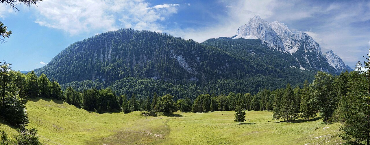 Foto von Grünkopf