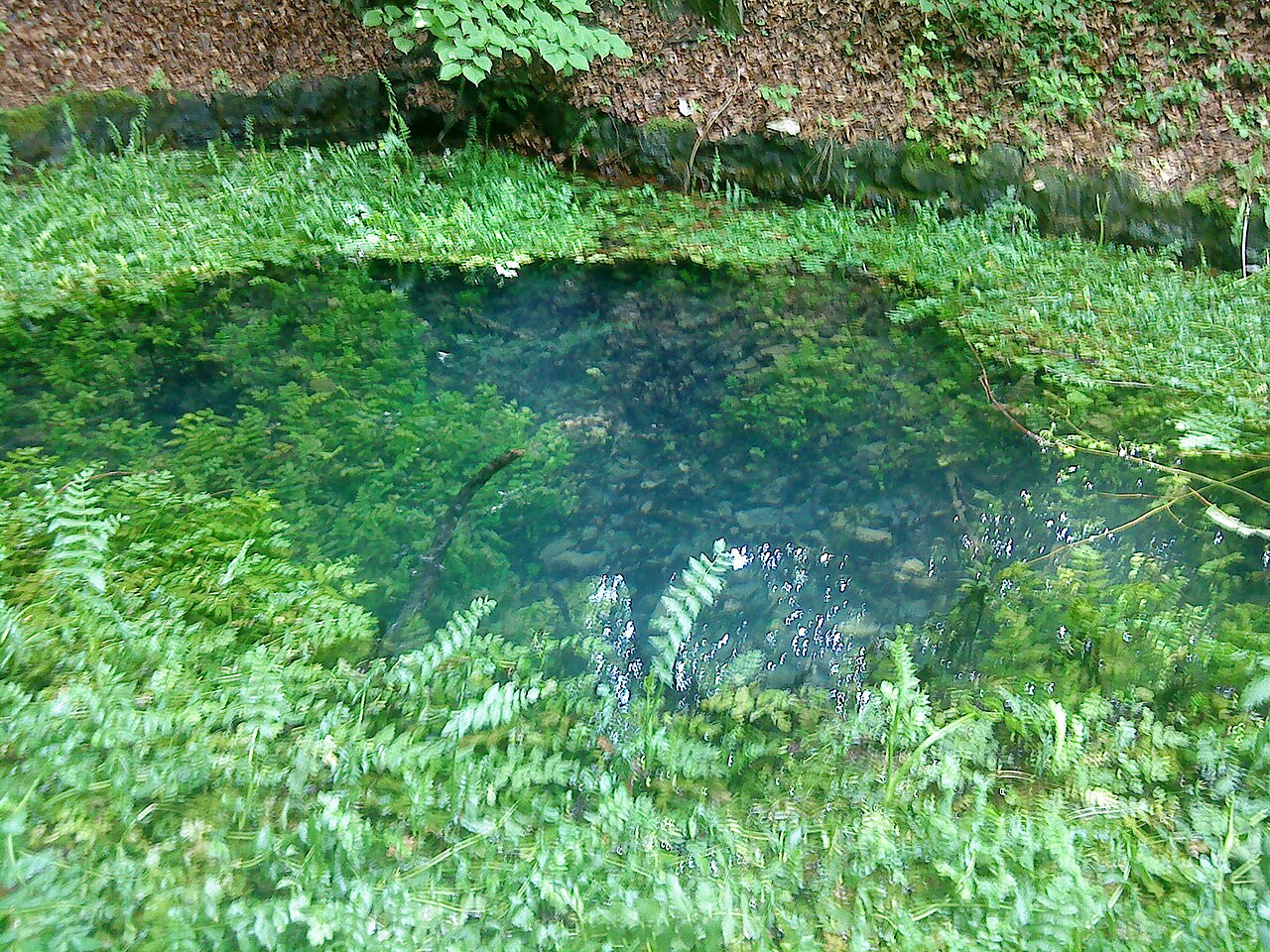 Der Quellaustritt des Grüntopfes