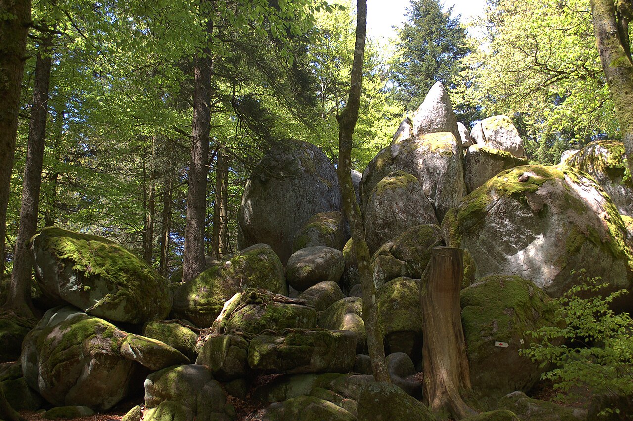 Günterfelsen near Furtwangen, view from the hiking trail, viewing direction north-northwest