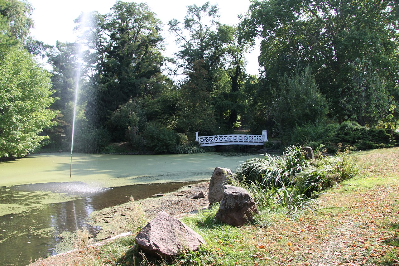 Teich im Rittergutspark Destedt (Im Hintergrund Brücke bzw