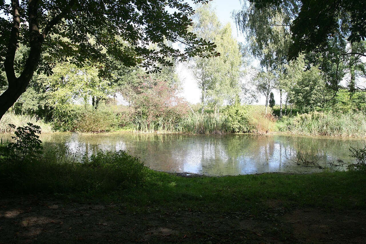 Gutspark / Gutsteich - Falkenberg
