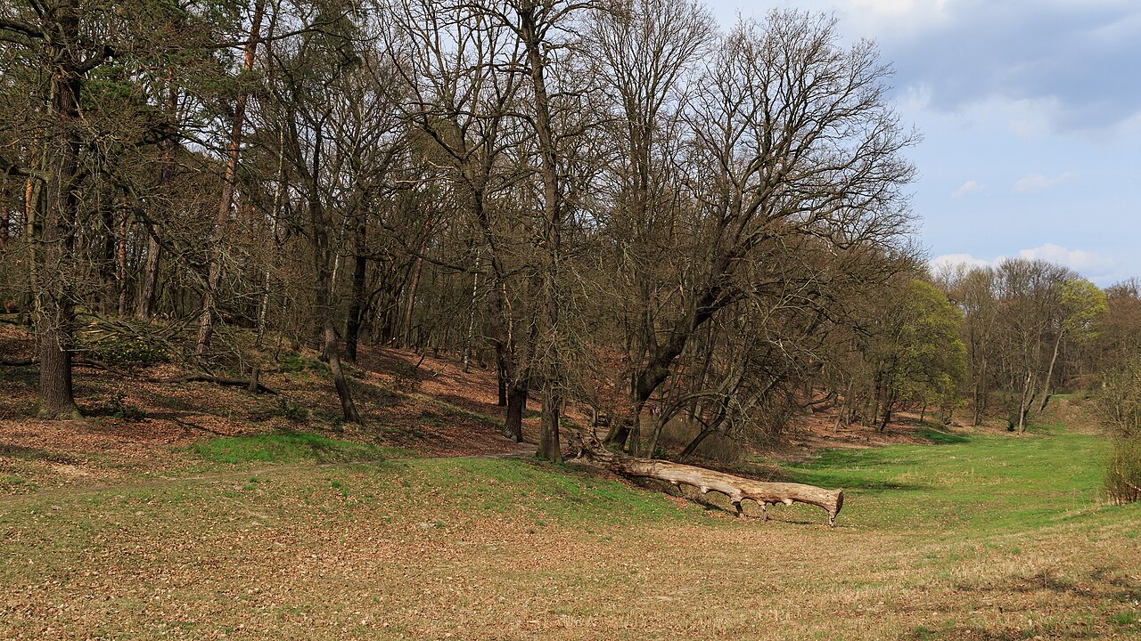 Der Gutspark Neukladow in Berlin-Kladow