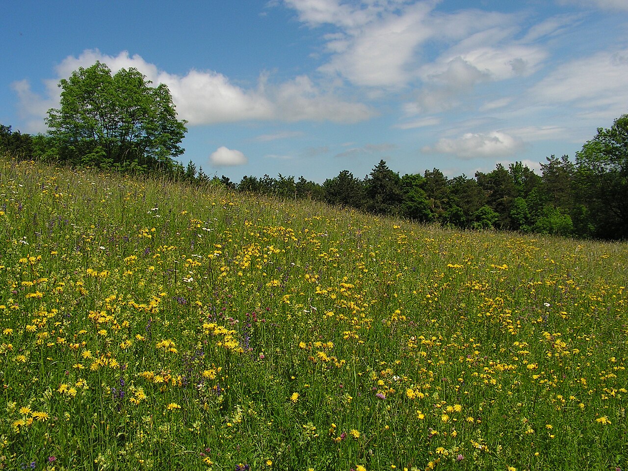 NSG Haarberg-Wasserberg, Landkreis Göppingen