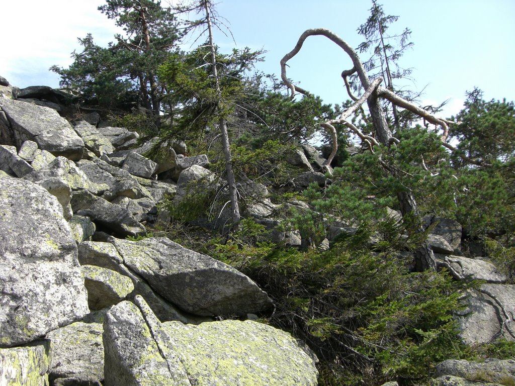 Granite blocks on the Haberstein in the Fichtelgebirge mountains, in Bavaria, Germany