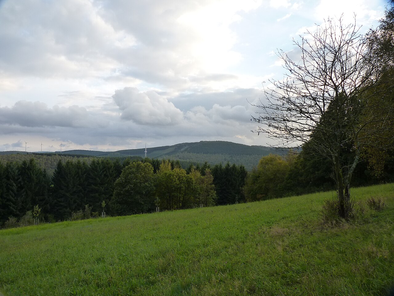 Blick zum Haferhain