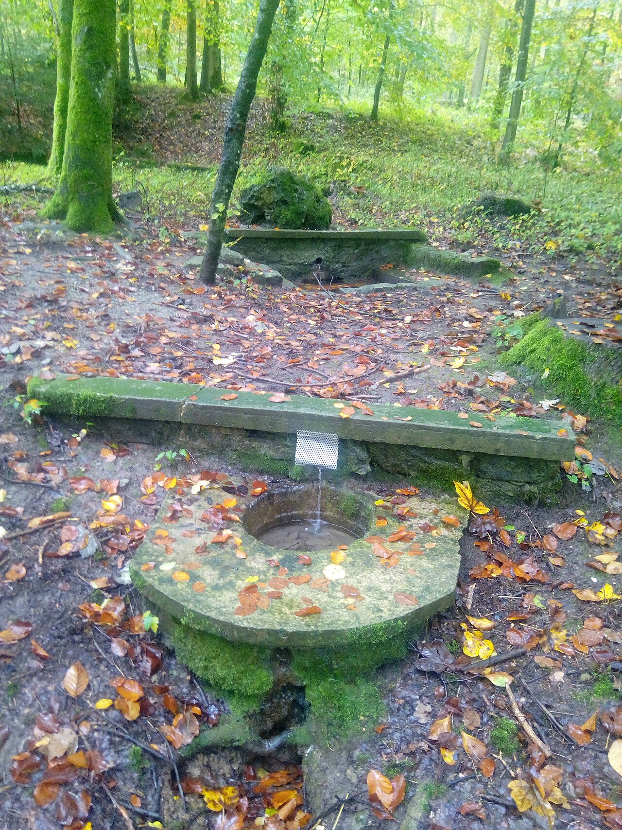 Hagenbrunnen bei Oberwittstadt