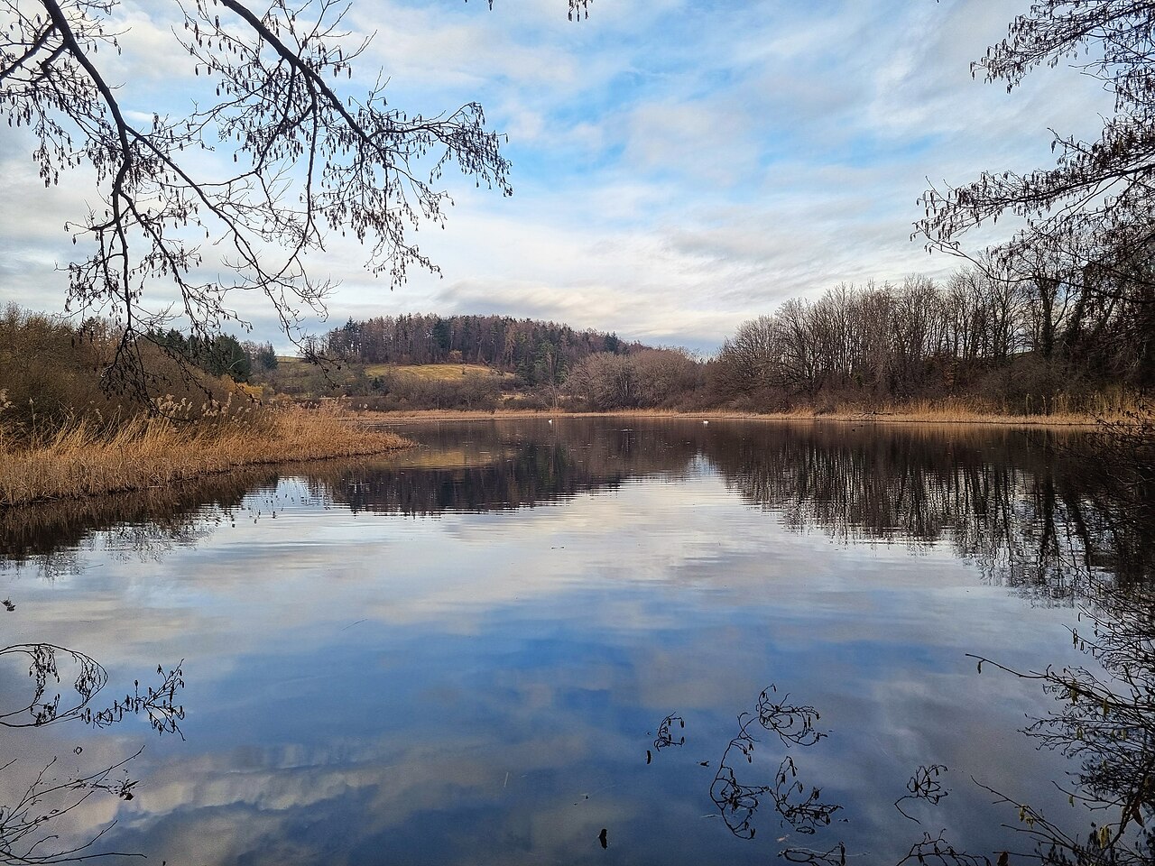 Deutschland - Baden-Württemberg - Landkreis Konstanz - Stadt Konstanz: Naturschutzgebiet Hagstaffelweiher
