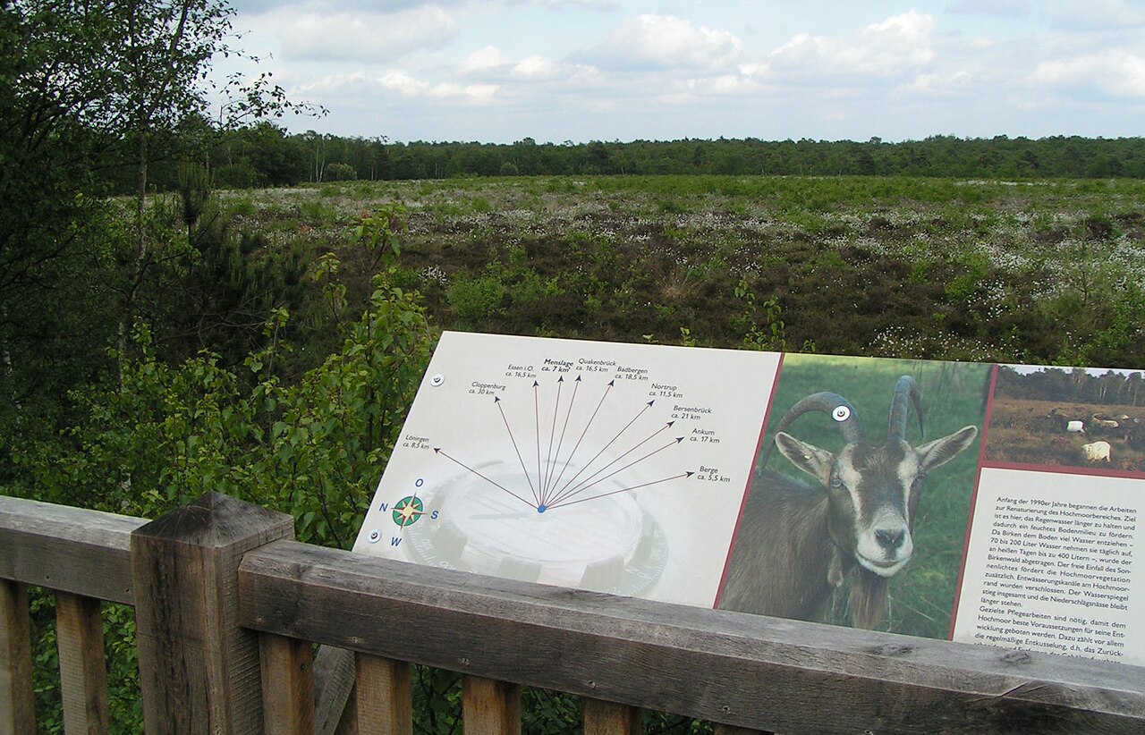 Moorlehrpfad im NSG Hahlener Moor (Landkreis Osnabrück)