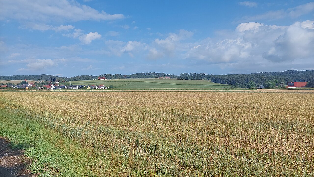 Haidgau and Haidgauer Berg, view from east