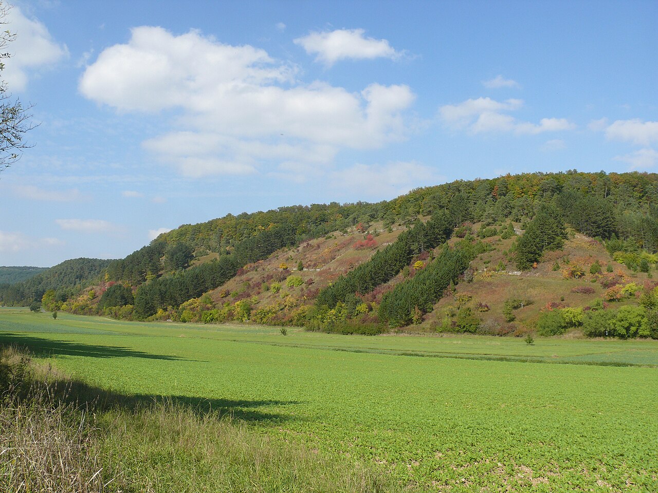 Haigergrund bei Königheim