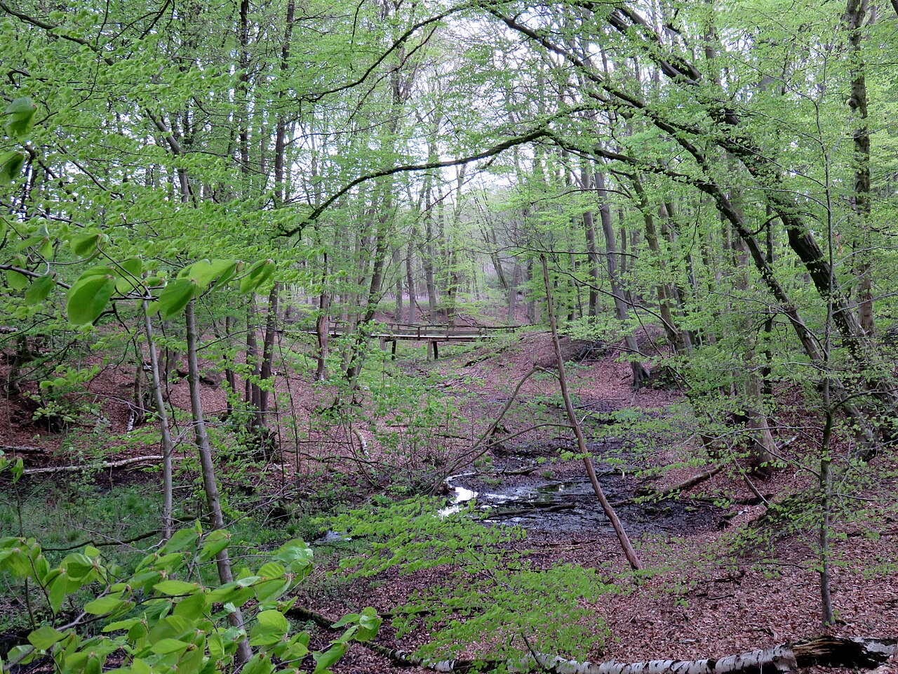 Foto von Hainesch-Iland
