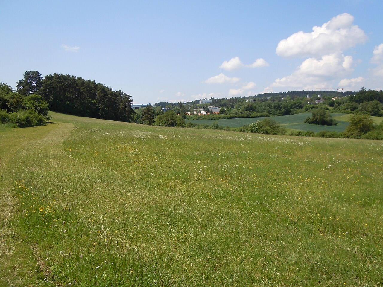NSG Haiterbacher Heckengäu (Teilgebiet Ganzenrain) mit Halbtrockenrasen, Hecken und Büschen