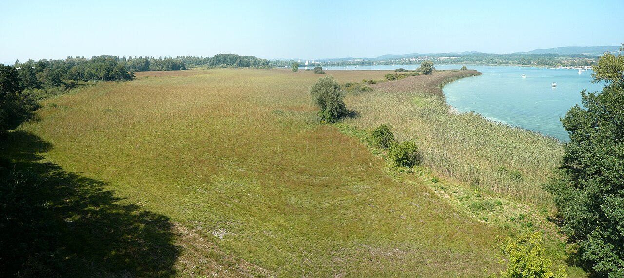 Peninsula Mettnau near Radolfzell