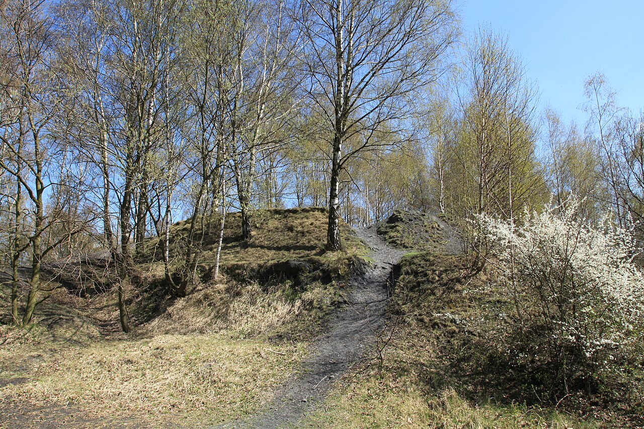 Halde Rheinbaben in Gladbeck an der Industriestraße in Bottrop