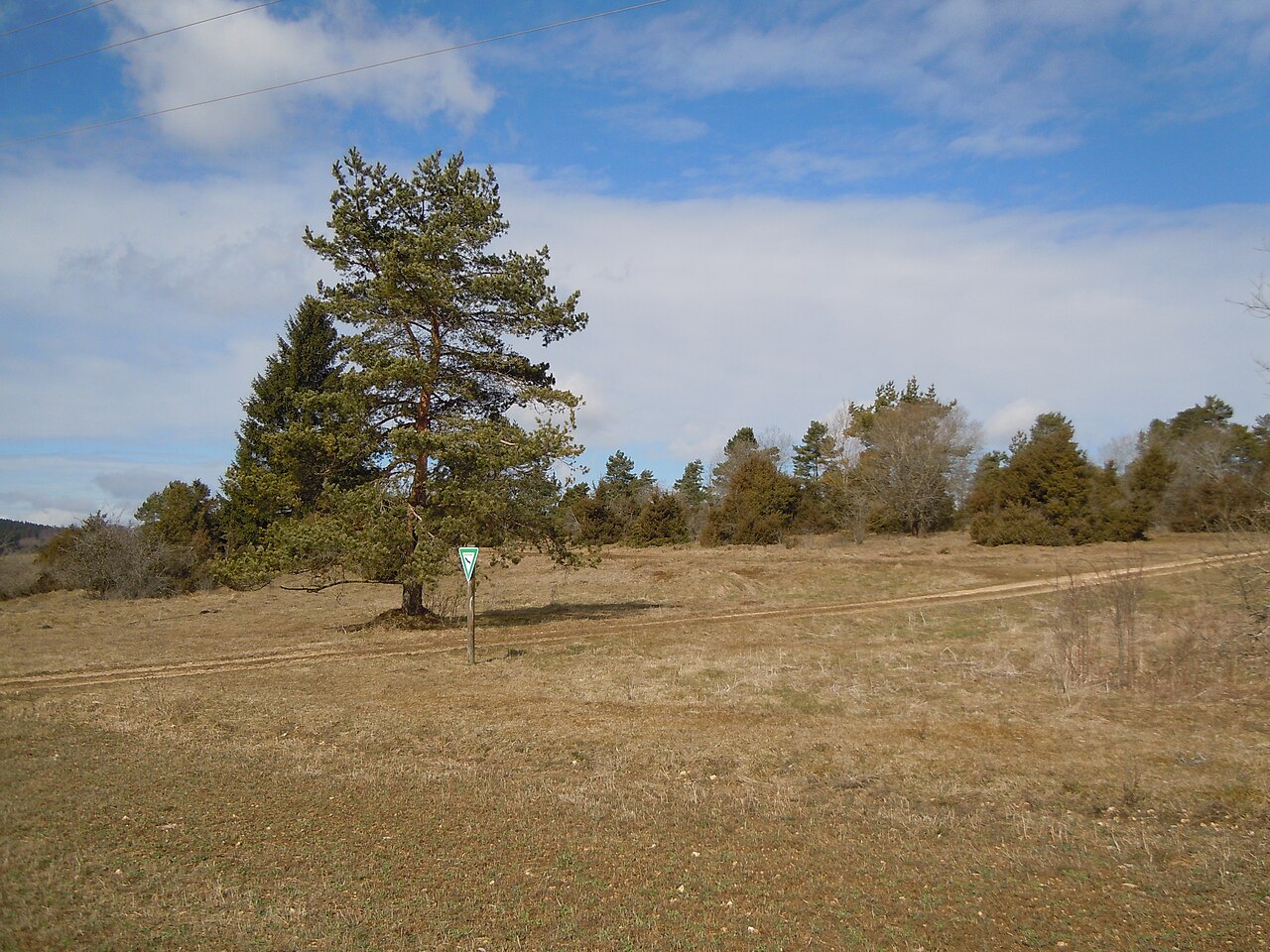 Naturschutzgebiet Halmberg