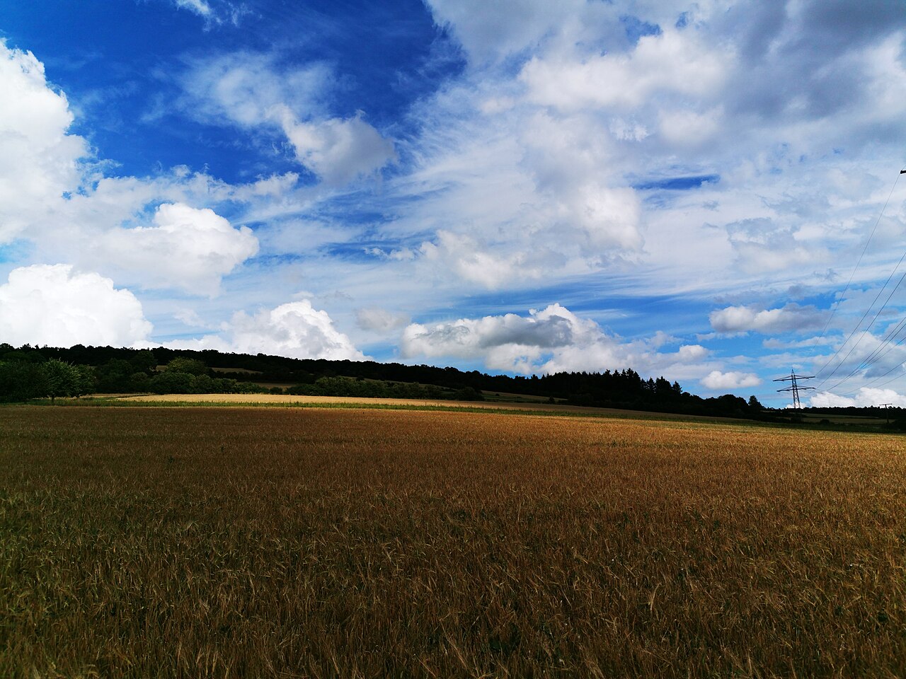 Hammberg (Tauberbischofsheim)
