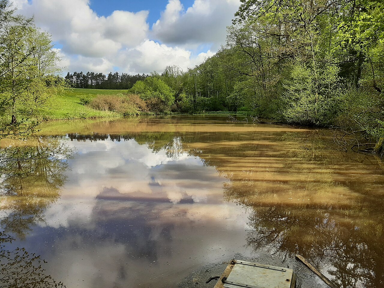 Nature Reserve Hammersbachtal Westgartshausen, Germany 2021