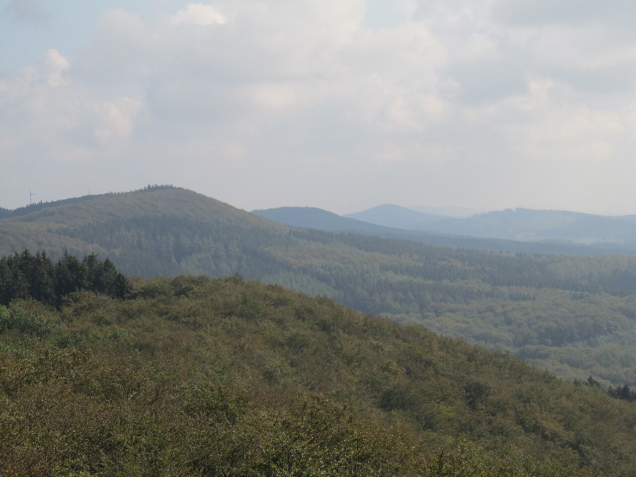 Teutoburg Forest: Hankenüll