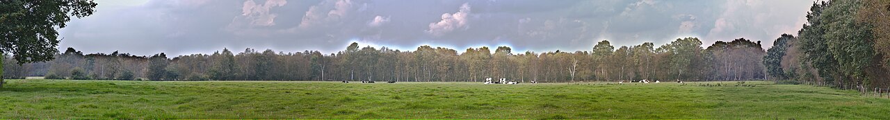 Foto von Harberner Heide