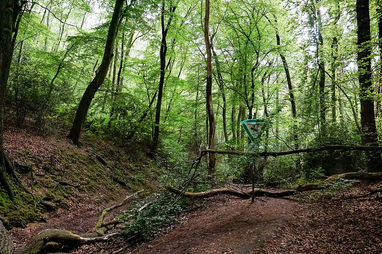 Naturschutzgebiet Hardenstein (NSG EN-005) in Witten