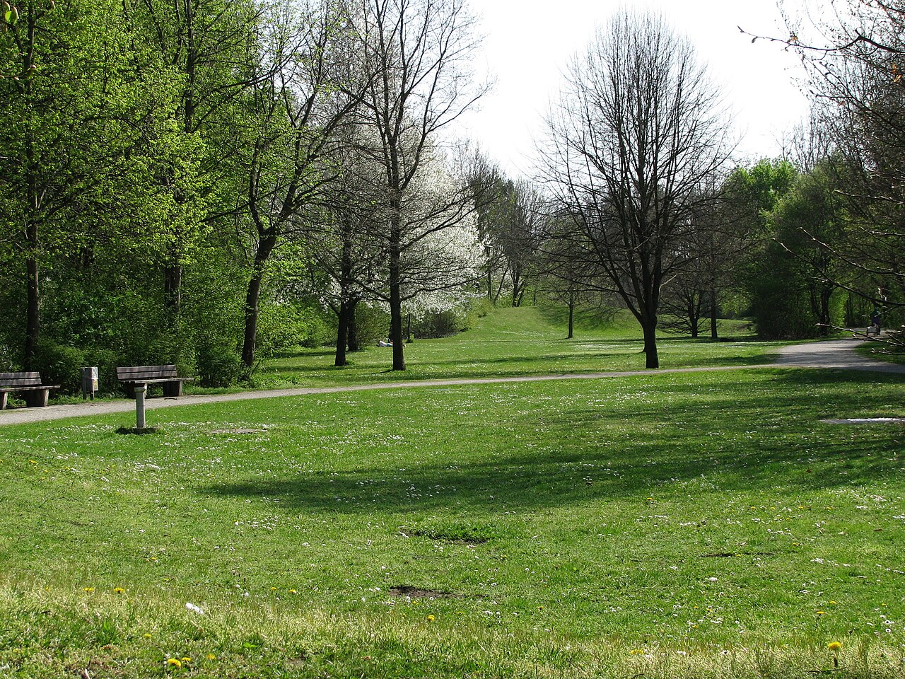 Harthofanger südlich der Weyprechtstraße
