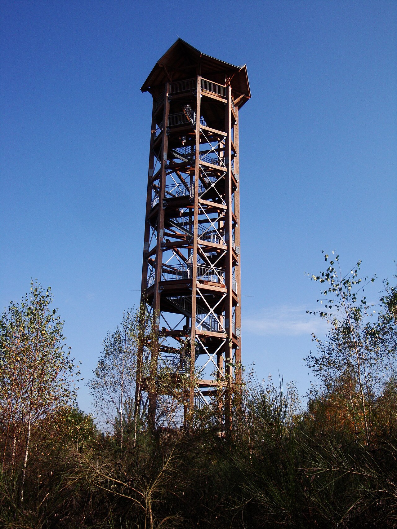 Aussichtsturm auf dem Haselberg bei Königsbrück