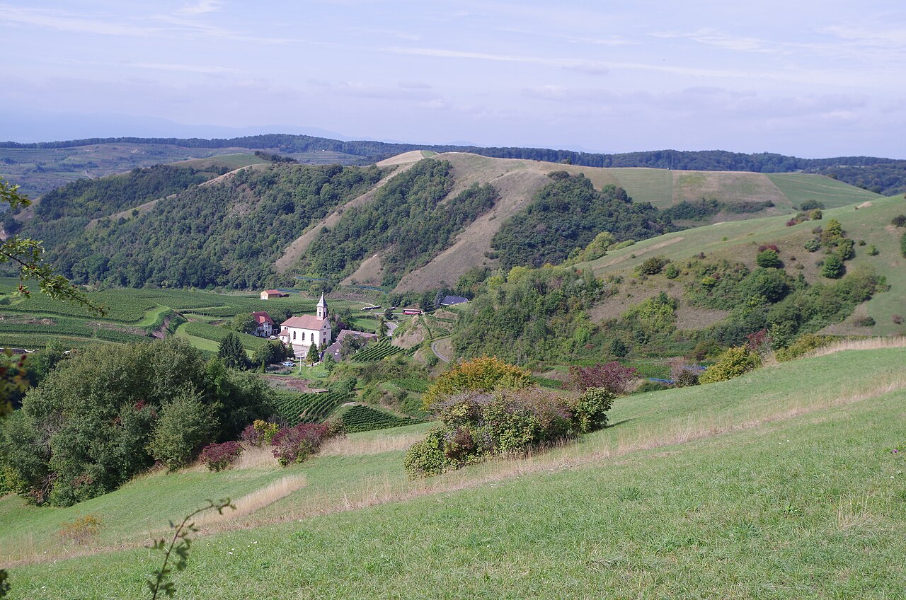Altvogtsburg, in the background the Badberg, on the right-hand side the Haselschacher Buck