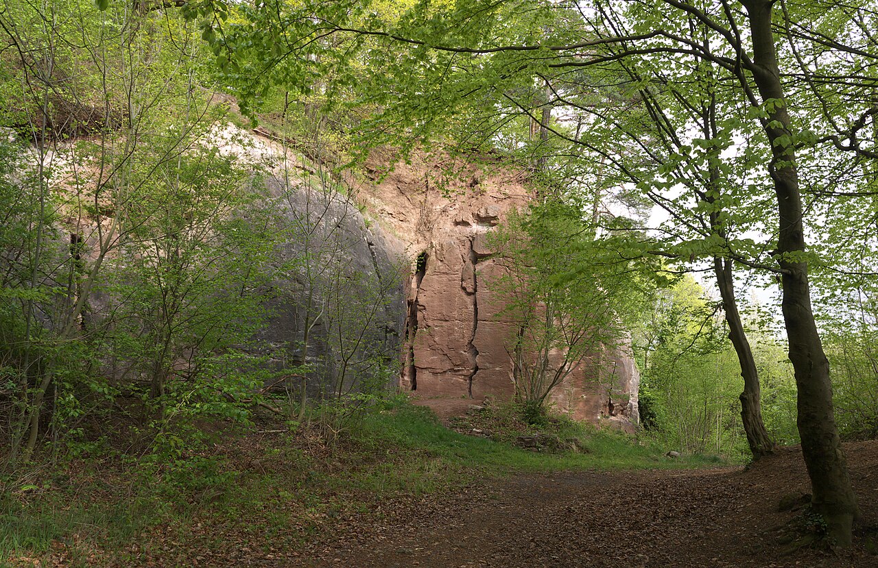 Naturdenkmal 81190850014 "Haselstein mit Steppenheide und Steppenheidegebüsch"