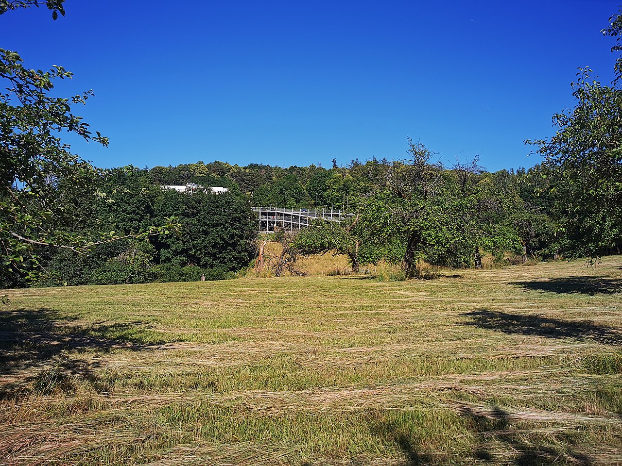 Blick von der Esskastanienallee zum Hasenkopf bei Aschaffenburg