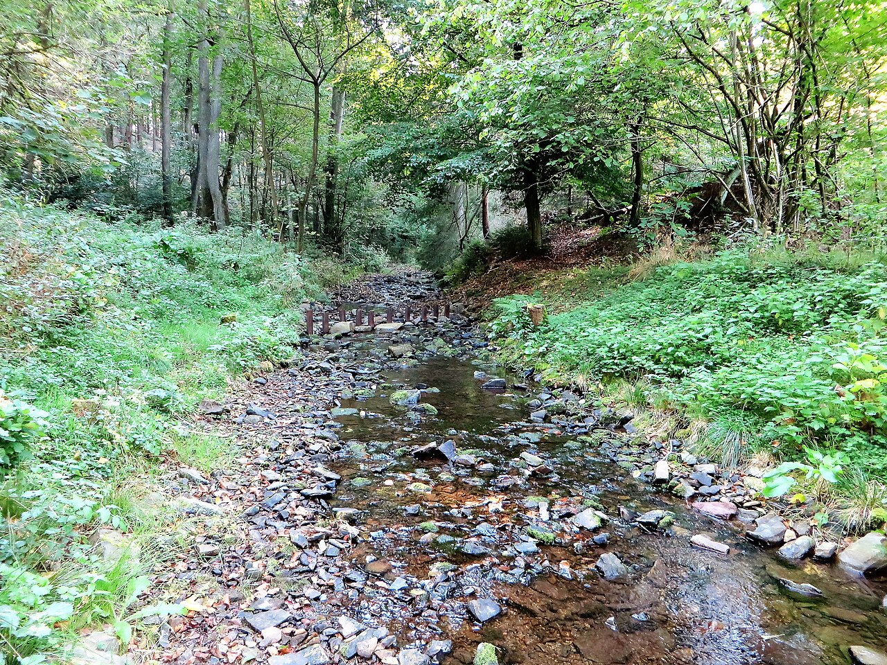 Naturschutzgebiet HA-021 „Hasper Bach“ in Hagen -Haspe