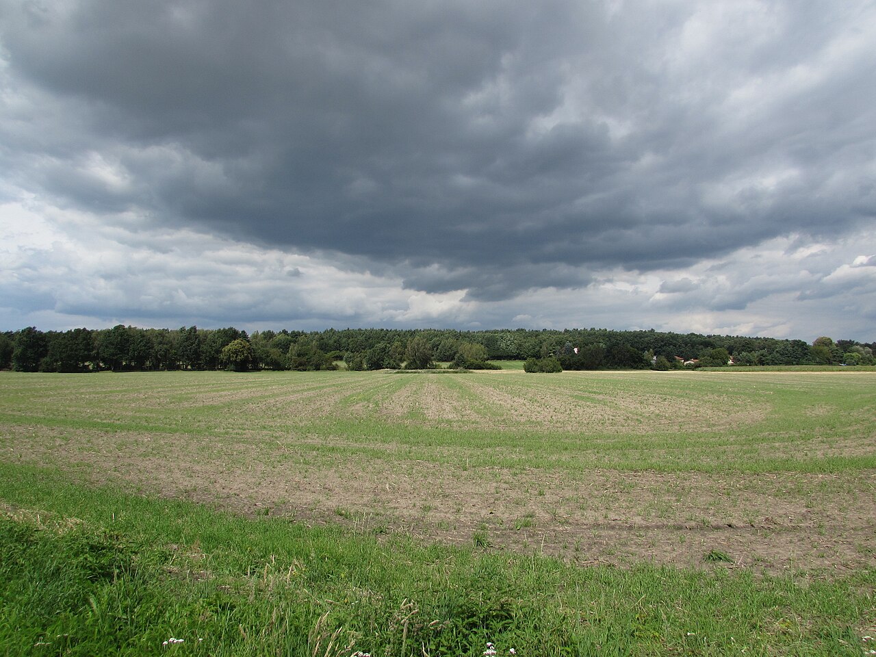 hasselberg zwischen butzow und radewege