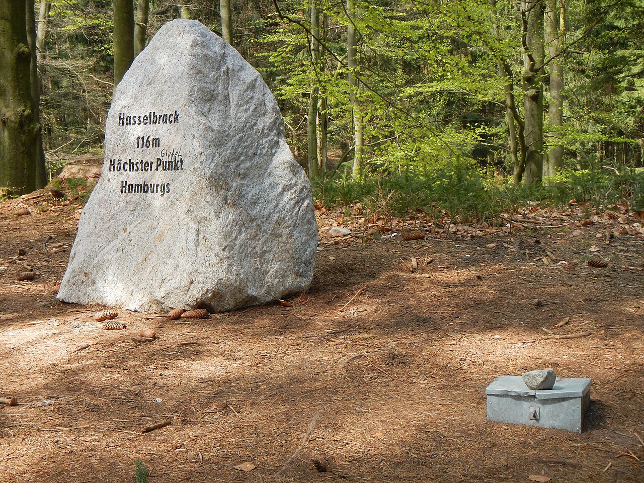 The highest point in the Federal State of Hamburg: Hasselbrack summit cross and geocache (front right)