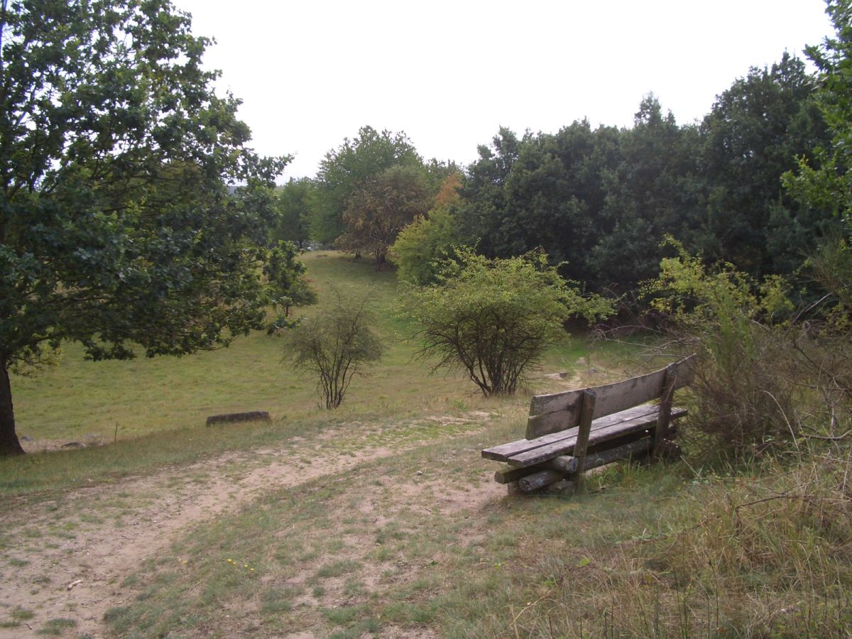 Naturschutzgebiet Hauptmannsberg (Mecklenburg-Vorpommern)