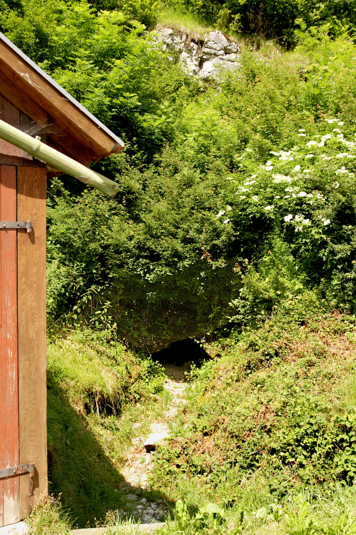 Unimpressive cave entrance "Hausener Bröller" in Hausen an der Lauchert , (village at the Lauchert ), Swabian Alb