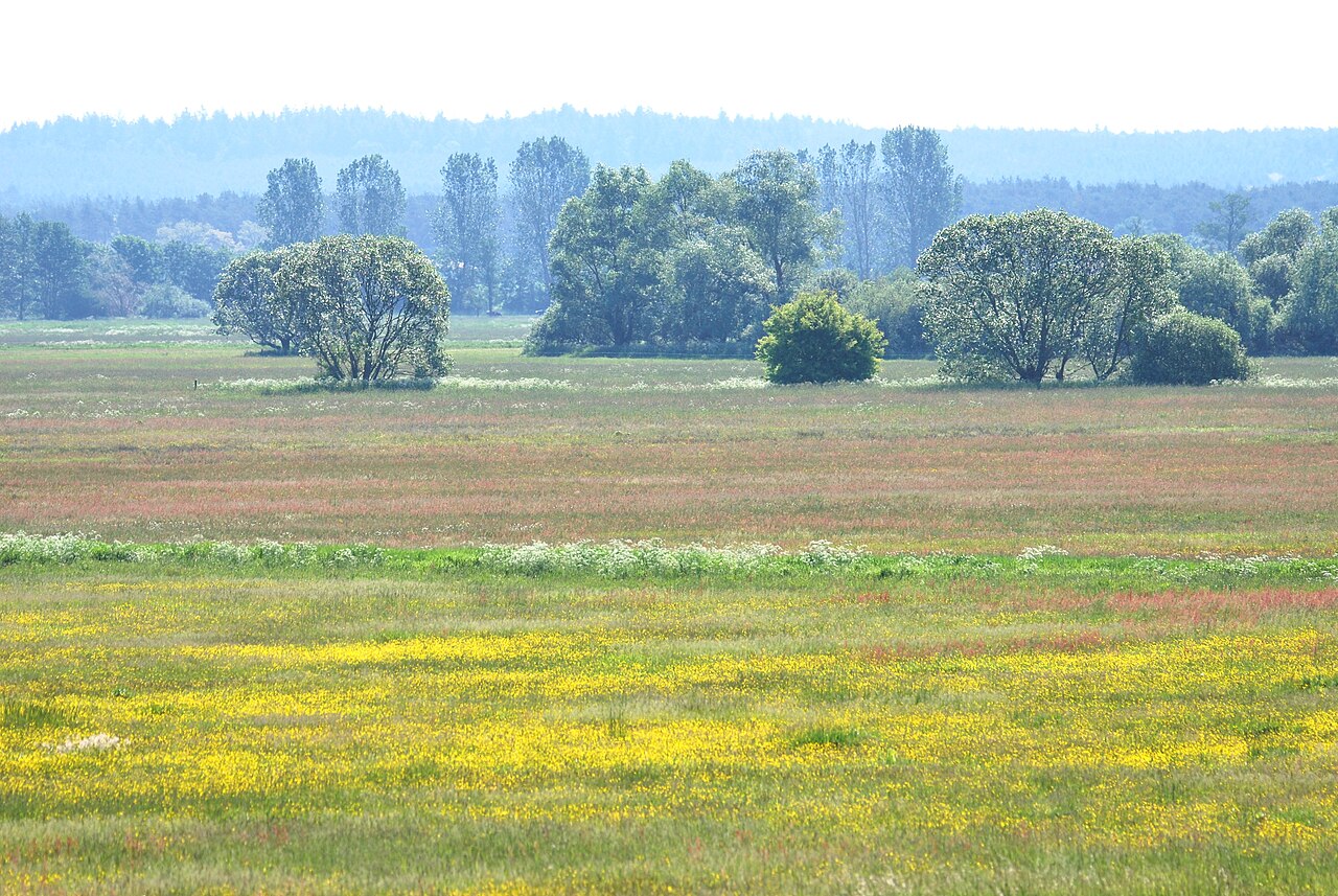 View from the watch tower