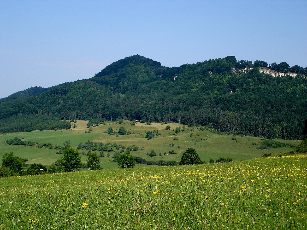 Heersberg (Schwäbische Alb)