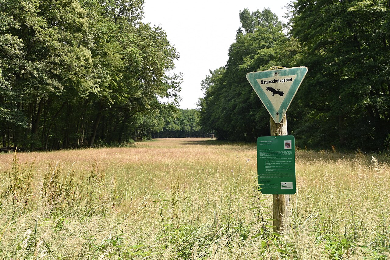 NSG Hegbachaue bei Messel