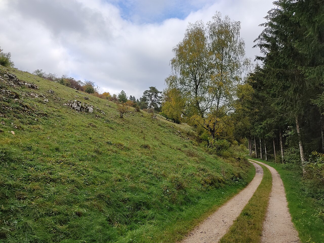 Naturschutzgebiet Heiden im Langen Tal