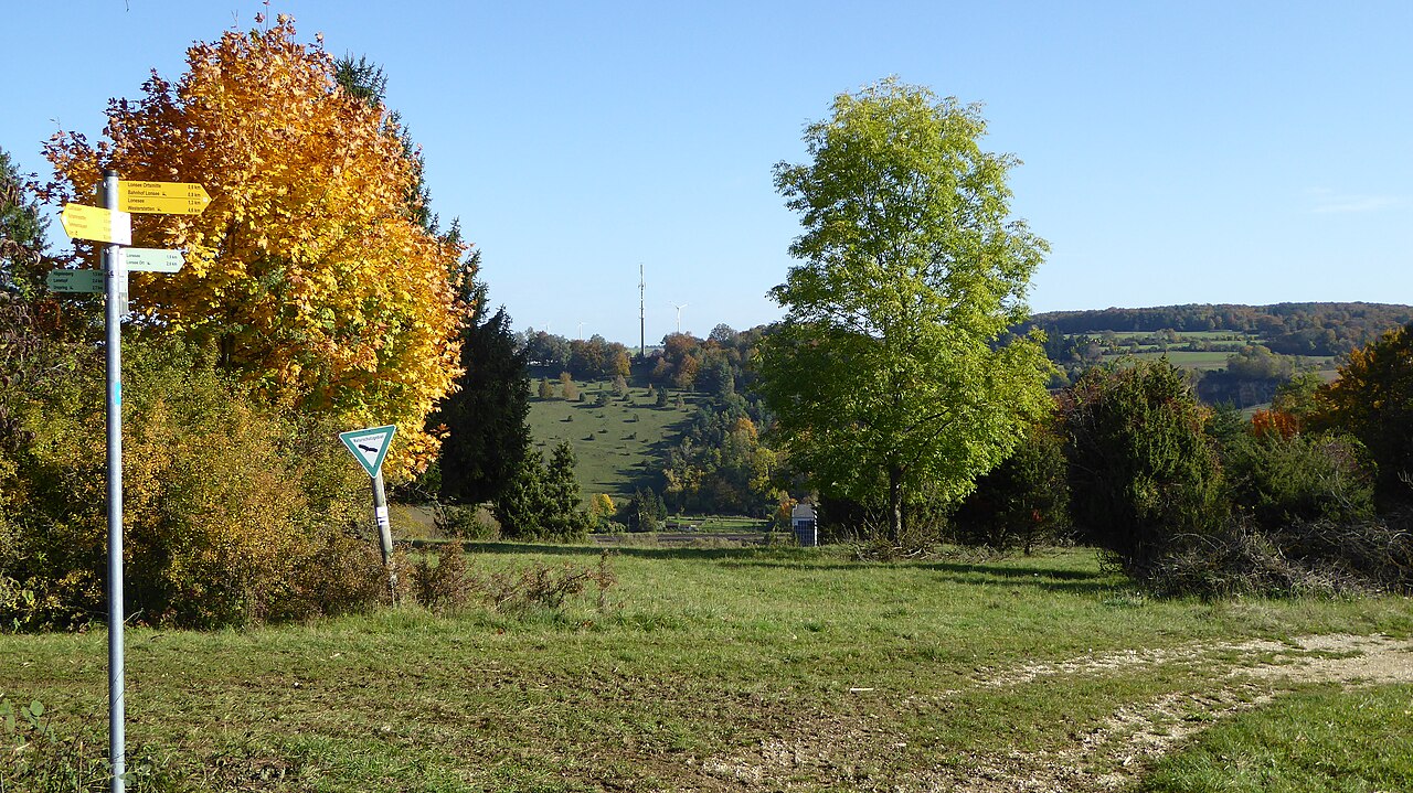 Standort Heidefläche südwestlich von Lonsee