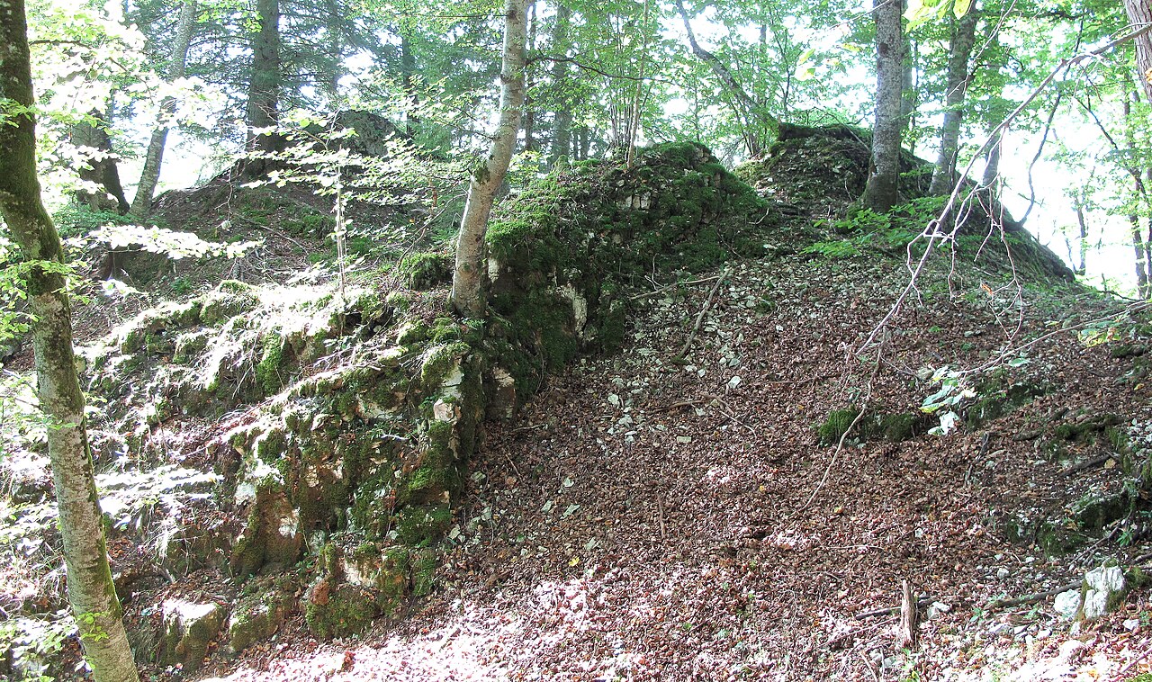Burgstelle mit Wall und Graben von Osten