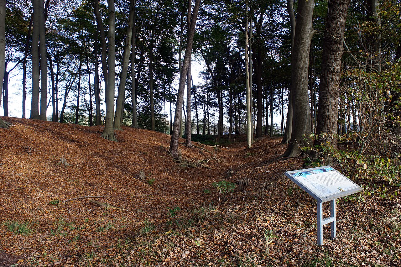 Information board at the "Heidenwall"